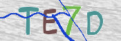 CAPTCHA (Şahıs Denetim Kodu) Resmi