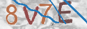 CAPTCHA (Şahıs Denetim Kodu) Resmi