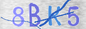 CAPTCHA (Şahıs Denetim Kodu) Resmi