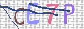 CAPTCHA (Şahıs Denetim Kodu) Resmi