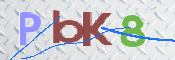 CAPTCHA (Şahıs Denetim Kodu) Resmi