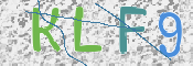 CAPTCHA (Şahıs Denetim Kodu) Resmi
