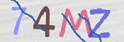 CAPTCHA (Şahıs Denetim Kodu) Resmi