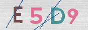 CAPTCHA (Şahıs Denetim Kodu) Resmi