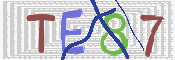 CAPTCHA (Şahıs Denetim Kodu) Resmi