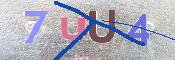 CAPTCHA (Şahıs Denetim Kodu) Resmi