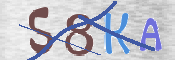 CAPTCHA (Şahıs Denetim Kodu) Resmi