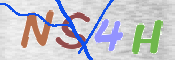 CAPTCHA (Şahıs Denetim Kodu) Resmi