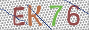 CAPTCHA (Şahıs Denetim Kodu) Resmi