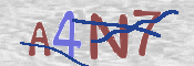 CAPTCHA (Şahıs Denetim Kodu) Resmi