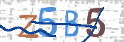 CAPTCHA (Şahıs Denetim Kodu) Resmi