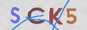 CAPTCHA (Şahıs Denetim Kodu) Resmi