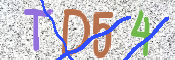 CAPTCHA (Şahıs Denetim Kodu) Resmi