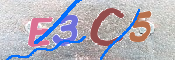 CAPTCHA (Şahıs Denetim Kodu) Resmi