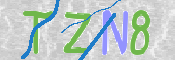CAPTCHA (Şahıs Denetim Kodu) Resmi