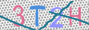 CAPTCHA (Şahıs Denetim Kodu) Resmi