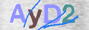 CAPTCHA (Şahıs Denetim Kodu) Resmi