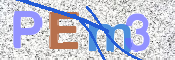 CAPTCHA (Şahıs Denetim Kodu) Resmi