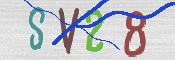 CAPTCHA (Şahıs Denetim Kodu) Resmi