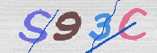 CAPTCHA (Şahıs Denetim Kodu) Resmi