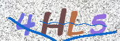 CAPTCHA (Şahıs Denetim Kodu) Resmi