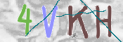 CAPTCHA (Şahıs Denetim Kodu) Resmi