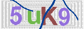 CAPTCHA (Şahıs Denetim Kodu) Resmi