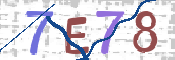 CAPTCHA (Şahıs Denetim Kodu) Resmi