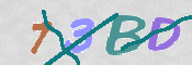 CAPTCHA (Şahıs Denetim Kodu) Resmi