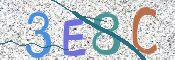 CAPTCHA (Şahıs Denetim Kodu) Resmi