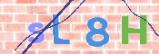 CAPTCHA (Şahıs Denetim Kodu) Resmi