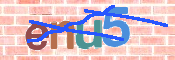 CAPTCHA (Şahıs Denetim Kodu) Resmi