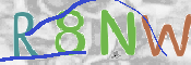 CAPTCHA (Şahıs Denetim Kodu) Resmi