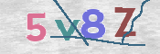CAPTCHA (Şahıs Denetim Kodu) Resmi