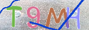 CAPTCHA (Şahıs Denetim Kodu) Resmi