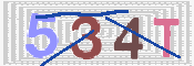 CAPTCHA (Şahıs Denetim Kodu) Resmi