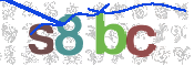 CAPTCHA (Şahıs Denetim Kodu) Resmi