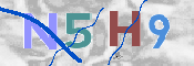 CAPTCHA (Şahıs Denetim Kodu) Resmi