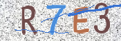 CAPTCHA (Şahıs Denetim Kodu) Resmi
