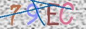 CAPTCHA (Şahıs Denetim Kodu) Resmi