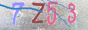CAPTCHA (Şahıs Denetim Kodu) Resmi