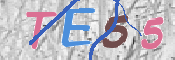 CAPTCHA (Şahıs Denetim Kodu) Resmi