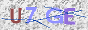 CAPTCHA (Şahıs Denetim Kodu) Resmi