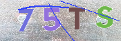 CAPTCHA (Şahıs Denetim Kodu) Resmi