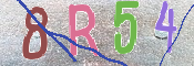CAPTCHA (Şahıs Denetim Kodu) Resmi