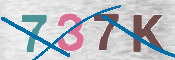 CAPTCHA (Şahıs Denetim Kodu) Resmi
