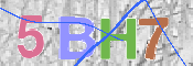 CAPTCHA (Şahıs Denetim Kodu) Resmi