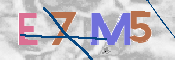 CAPTCHA (Şahıs Denetim Kodu) Resmi