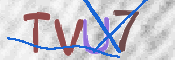 CAPTCHA (Şahıs Denetim Kodu) Resmi