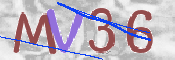 CAPTCHA (Şahıs Denetim Kodu) Resmi